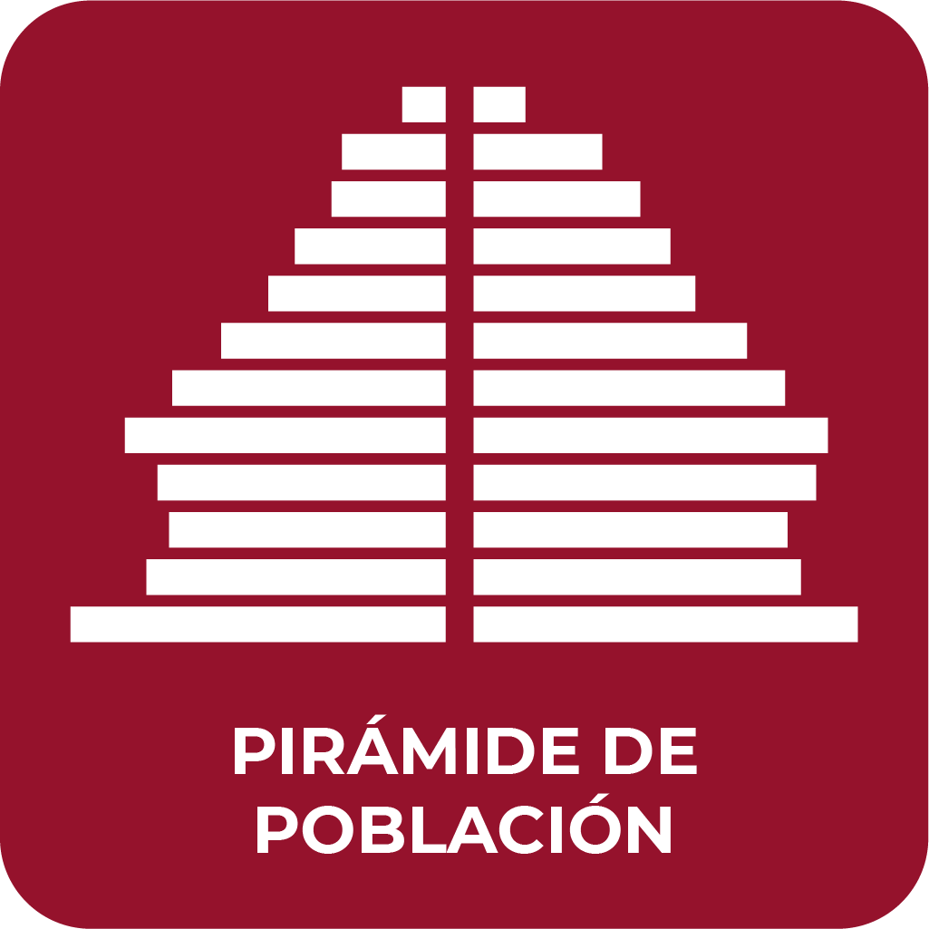 Imagen Botón Pirámide de Población