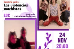 Cartel-concierto-24-nov-Igualdad-Cultura