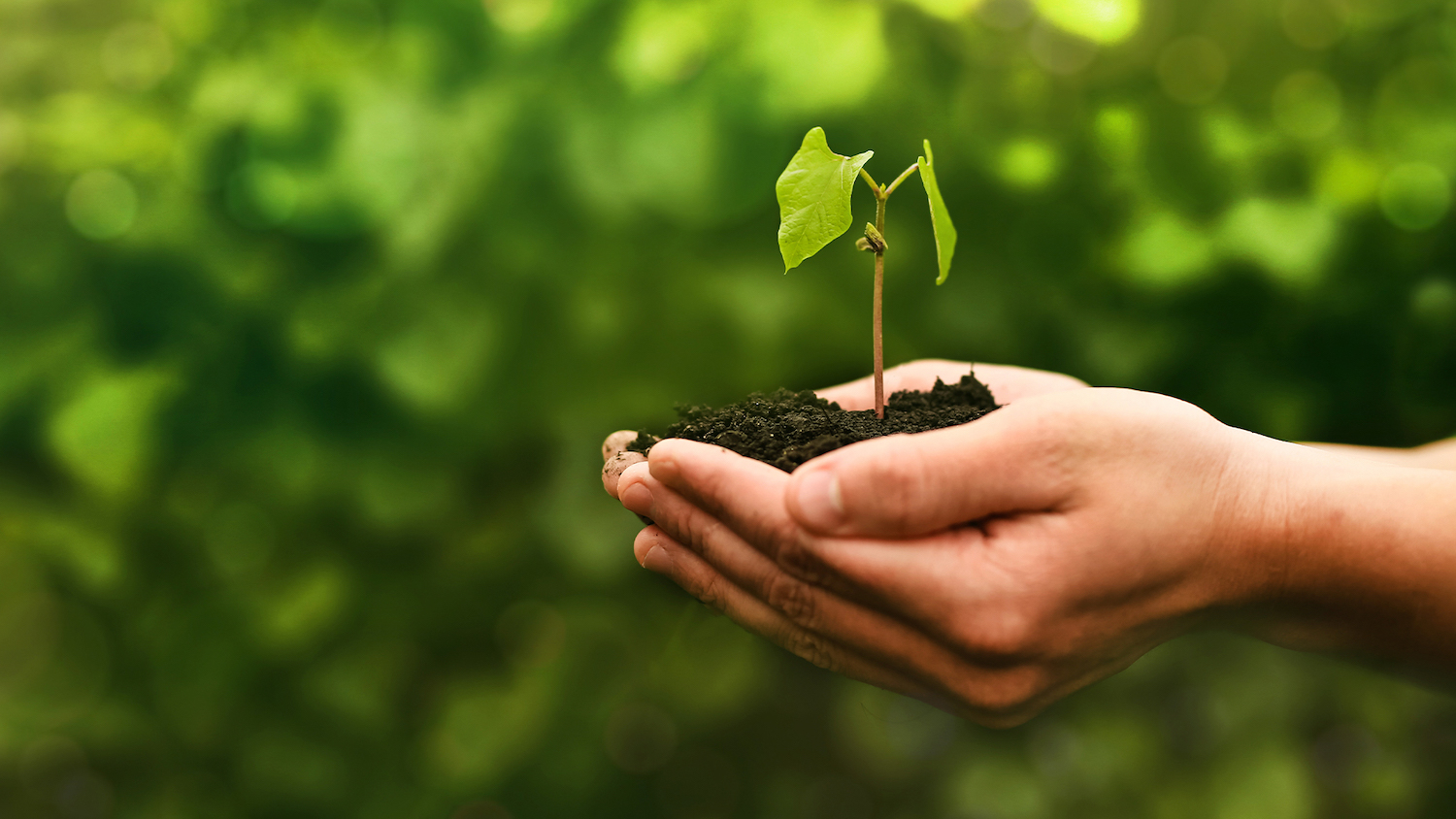 Imagen caja medio ambiente