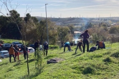 Plantacion-calle-Florencia-Coslada-26