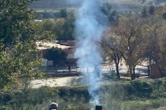 Plantacion-calle-Florencia-Coslada-33