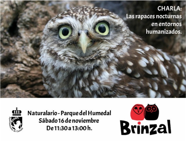 baner-charla-rapaces-2019