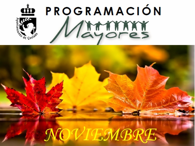 baner-prog-mayores-nov2019