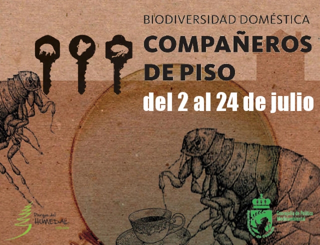 banner-expo-biodiv2020