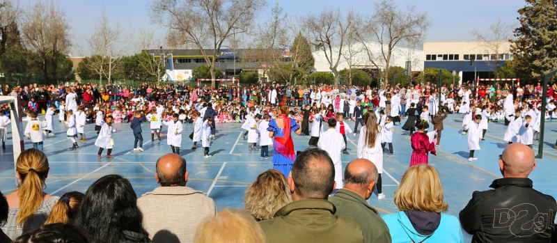 carnaval-torres-quevedo-04