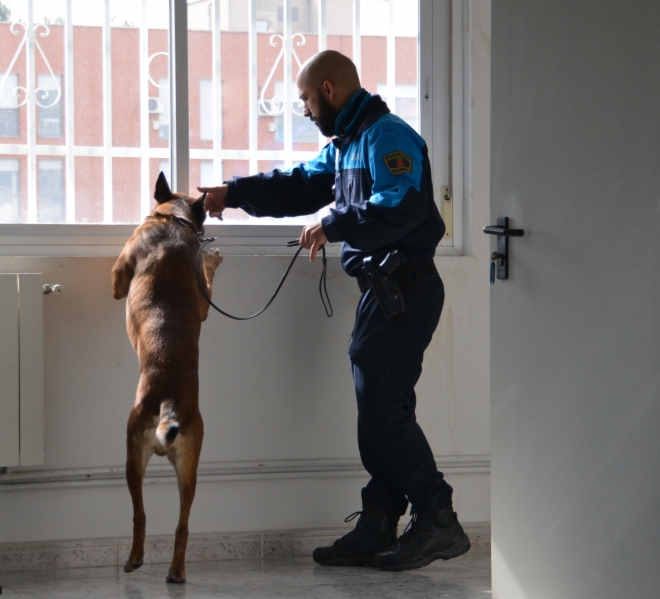 entrenamiento-policia-canina-1