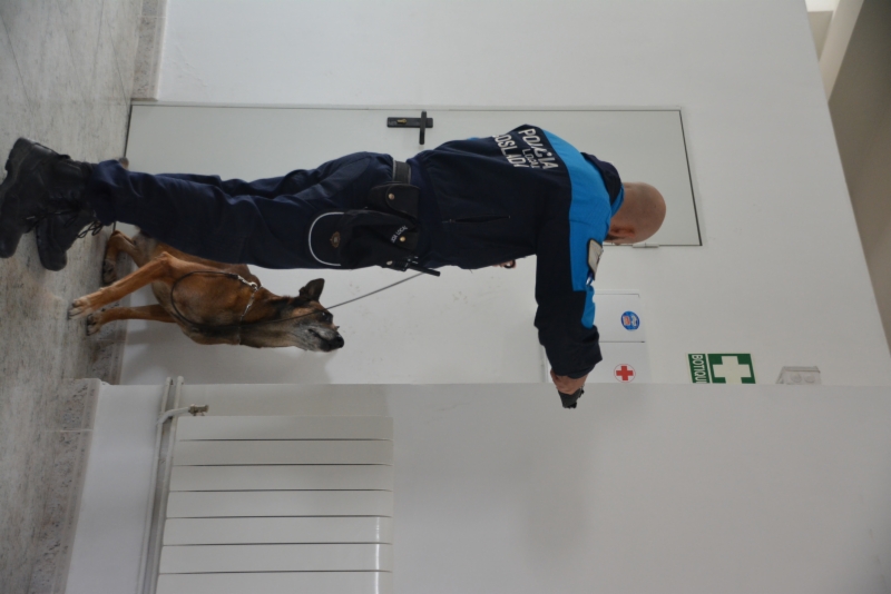 entrenamiento-policia-canina-2