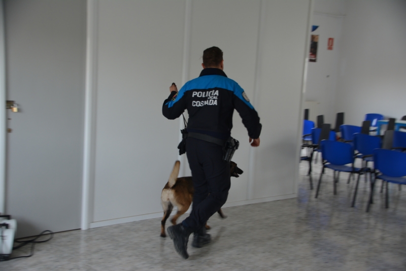 entrenamiento-policia-canina-3