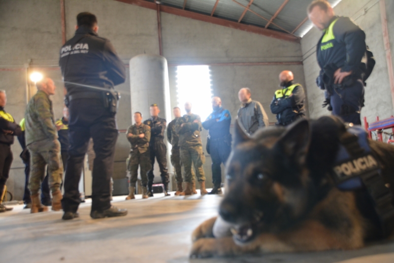 entrenamiento-policia-canina-5