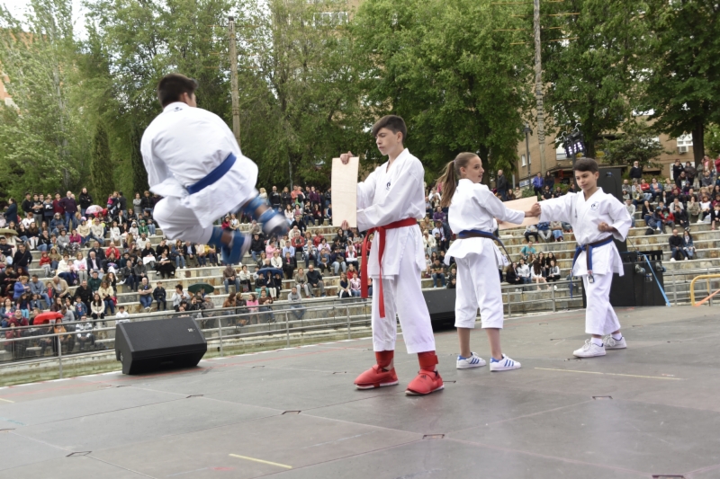 fiestas-san-isidro-2018-1