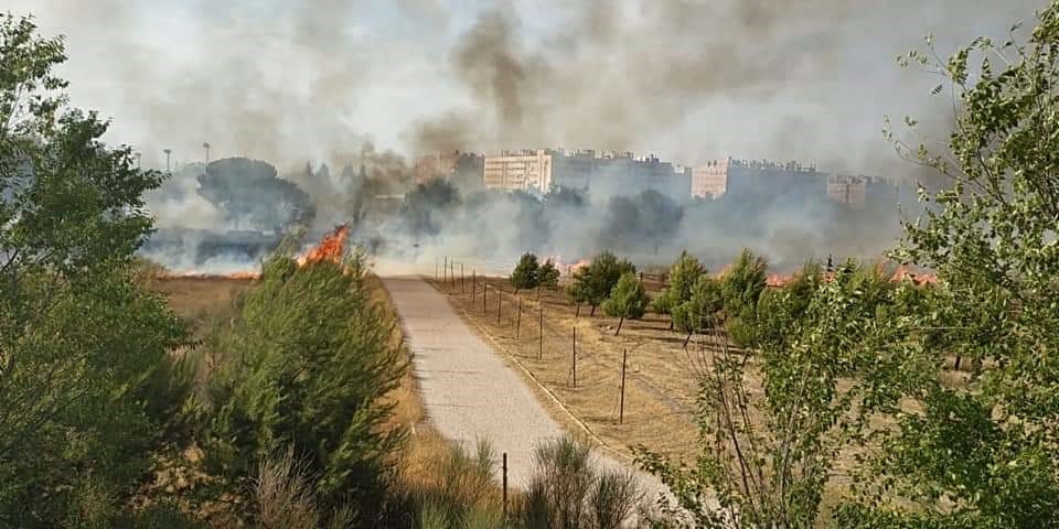 incendio-parque-del-humedal-2