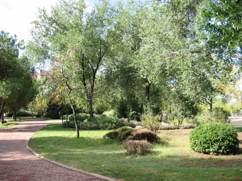 parques-cotorras-2