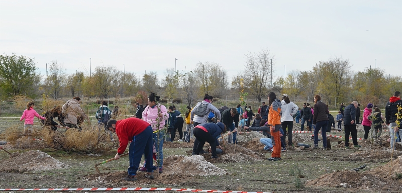 plantacion-arboles-humedal-60