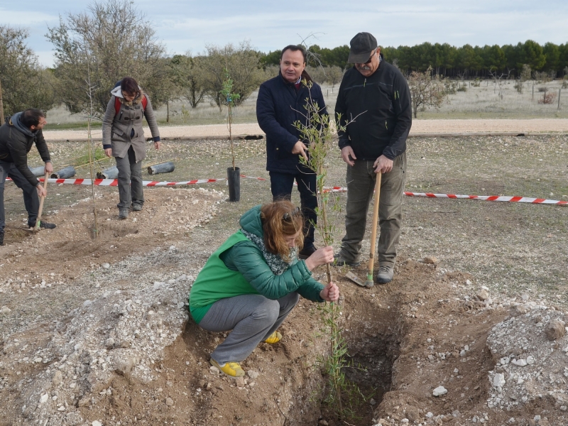 plantacion-arboles-humedal-67