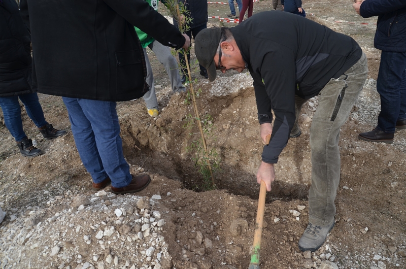 plantacion-arboles-humedal-71