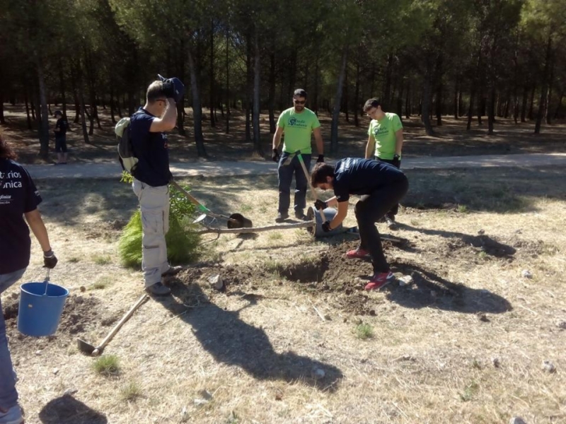 plantacion-humedal-2