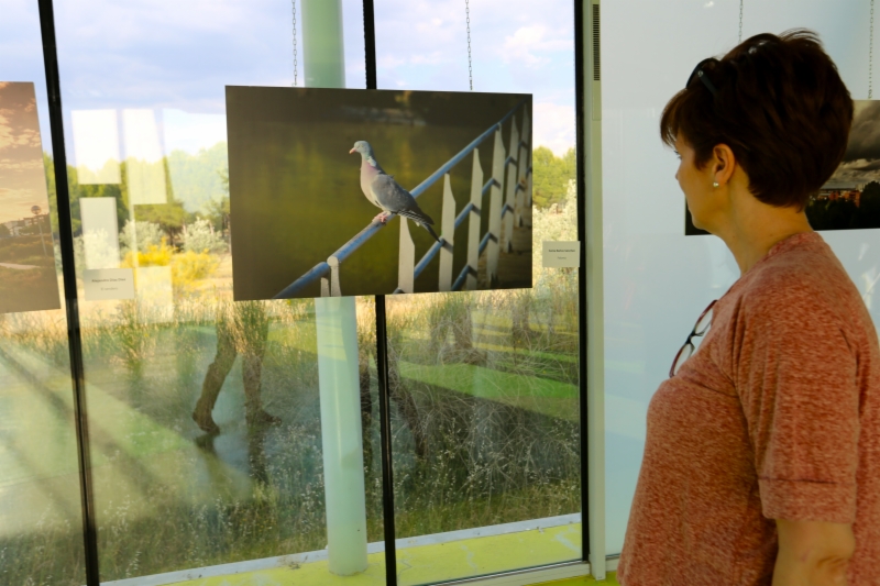 premios-medio-ambiente16