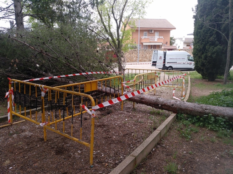 proteccion-arbol-caido-parque-carlos-marx