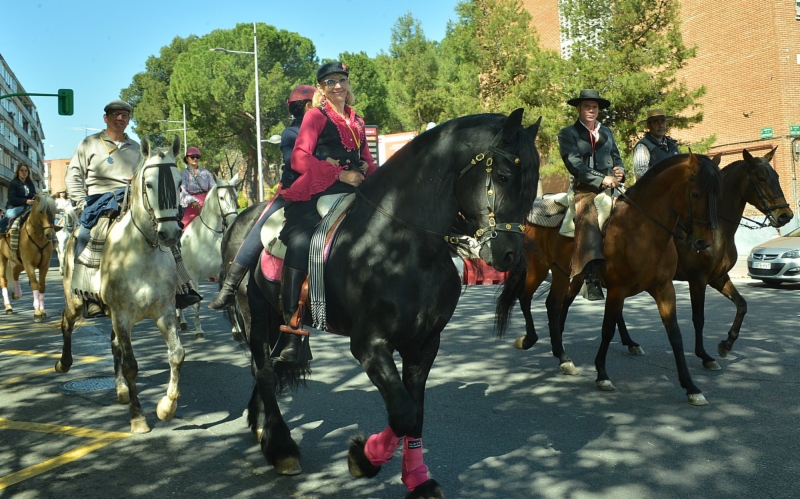 romeria-casa-andalucia-coslada-6