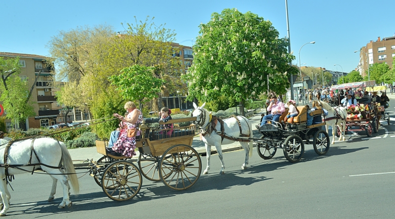 romeria-casa-andalucia-coslada-7