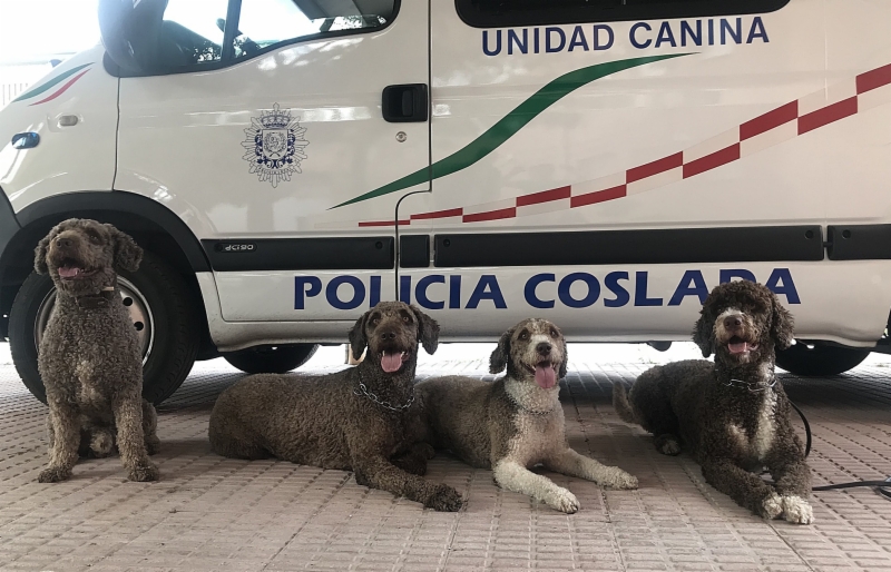 unidad-canina-policia-local-de-coslada-archivo-2019