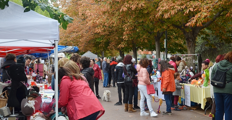 xvii-feria-artesania-y-reciclaje-oct-2019-12